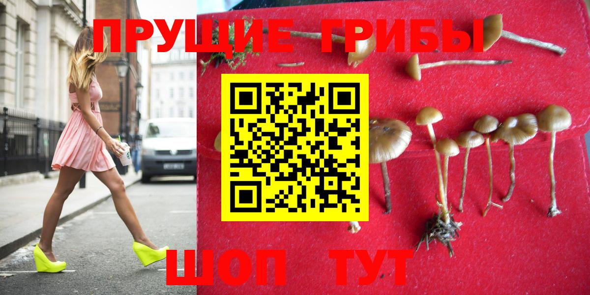 Псилоцибиновые грибы мухоморы  Вход с VPN  Удомля 