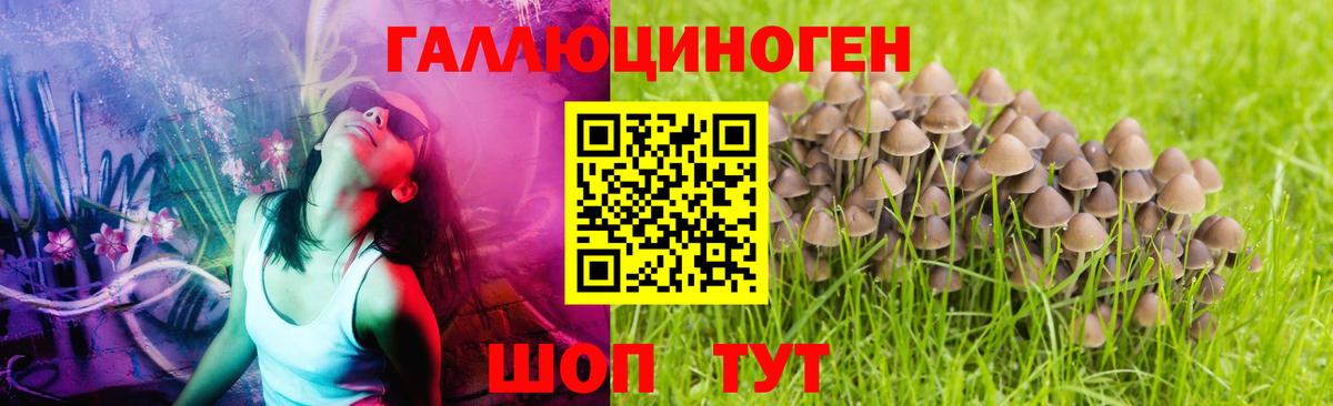 Псилоцибиновые грибы прущие грибы Удомля